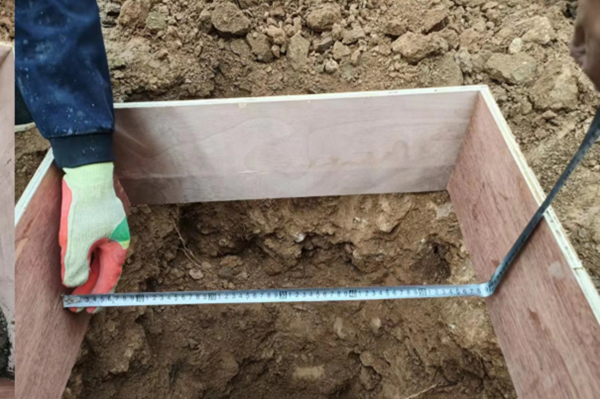 221650612192181088.png 2.png