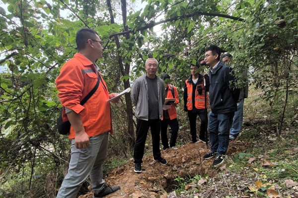 141728867287431462.jpeg 2.jpg